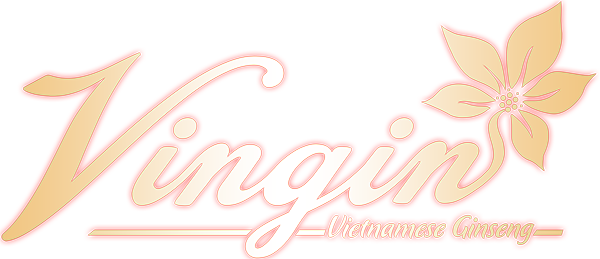 CÔNG TY CỔ PHẦN VINGIN