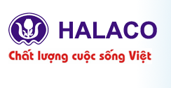 Công ty TNHH Tân Hà Lan