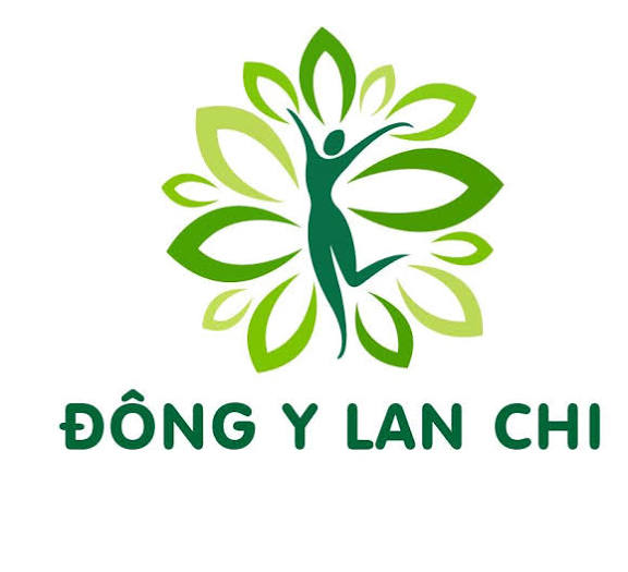cong ty tnhh thuong mai tong hop lan chi