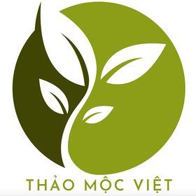 cong ty tnhh truyen thong thao moc viet