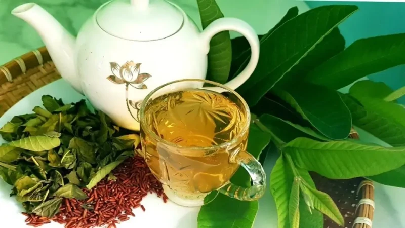 ho kinh doanh mai quoc