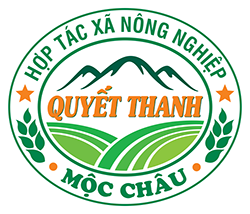 hop tac xa nong nghiep quyet thanh moc chau