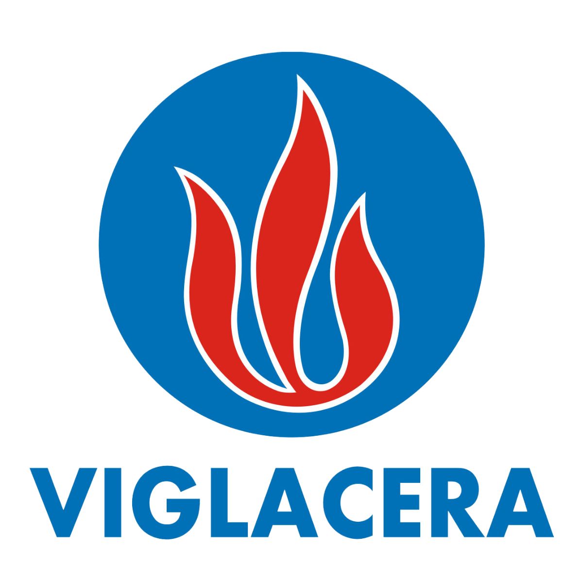 tong cong ty viglacera ctcp